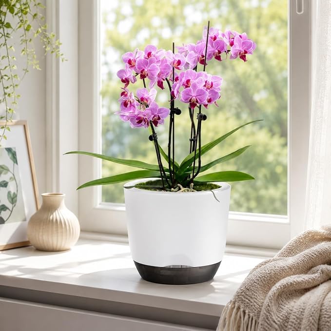7.2Inch White Orchid Pots with Holes for Repotting, Double-Layer Plastic Self Watering Flower Pots for Indoor Plants with Drainage Holes, Clear Orchid Pot Match Decorative Orchid Container, 1 Pack