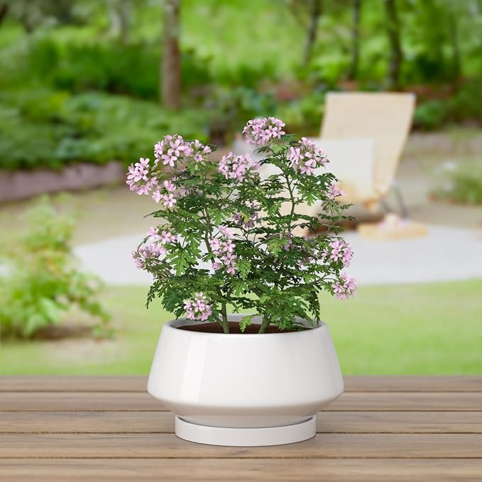 8.3 Inch White Ceramic Planter with Drainage Hole and Saucer | Ideal for Indoor and Outdoor Plants, Modern Home Decor, Round, Gloss White