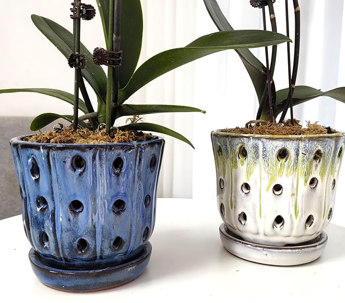 Orchid Pots 4.9 inch Round Ceramic Orchid Pots with Holes Set of 2 (SkyBlue+White with Lemon Green)