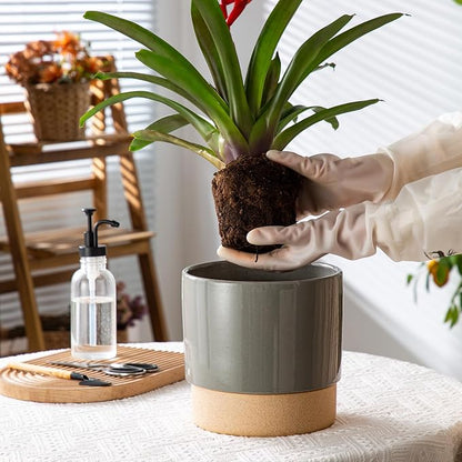 8 Inch Ceramic Self Watering Planter with Drainage Hole, Dark Grey | Indoor Plant Pot with Water Storage Plus - for African Violet, Herbs & Pothos - Home & Office Decor, Cylinder Round