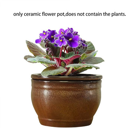 African Violet Pots Self Watering Round Ceramic Violet Pot (Copper, 6 inch)