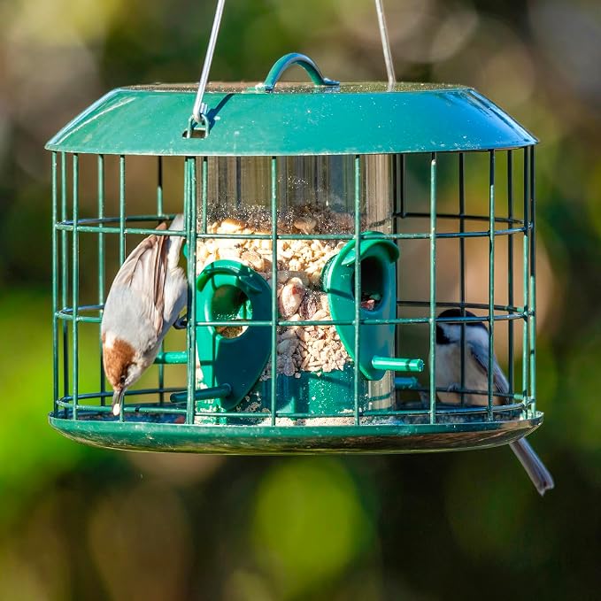 Kingsyard Tube Squirrel Proof Bird Feeders for Outdoor Hanging, Metal Caged | Rain Proof Covered, Wildbirds Finches Bluebird, 4 Feeding Ports, Green