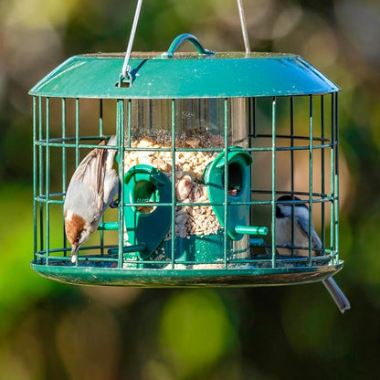 Kingsyard Tube Squirrel Proof Bird Feeders for Outdoor Hanging, Metal Caged | Rain Proof Covered, Wildbirds Finches Bluebird, 4 Feeding Ports, Green