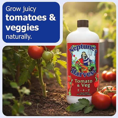 Neptune’s Harvest Organic Tomato & Vegetable Plant Fertilizer (2-4-2) - Liquid Plant Food w/Fresh Fish, Seaweed, Molasses, Yucca Extract, & Humic Acids - for Vegetable Garden (Quart (Single))