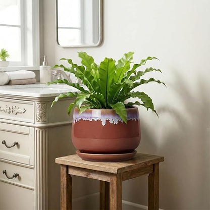 9 Inch Ceramic Planter - Indoor Planters with Drainage and Saucer, Decorative Flower Pot for Indoor Plants, Round Large Plant Pots, Office Patio House Decor, House Warming Gifts, Red-Purple