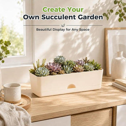 6 Pack Rectangle Planter 16x4.4 Inch Window Boxes Planters Rectangular Large Window Sill Planters Indoor Self Watering Plant Pots with Drainage Holes and Saucers Succulent Herb Flower Pots, Beige