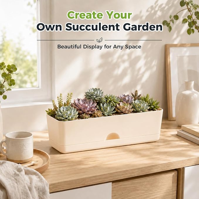 6 Pack Rectangle Planter 16 Inch Window Boxes Planters Rectangular Window Sill Planters Indoor Self Watering Plant Pots with Drainage Holes and Saucers Succulent Herb Flower Pots, Macaron Color