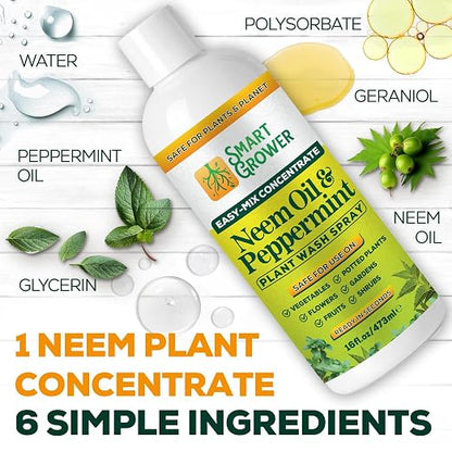 Neem Oil Spray for Plants with Peppermint Oil – for Indoor & Outdoor Plants, Gardens, & Houseplants– Best Value Refill 16 oz Concentrate Makes 2 Gallon RTU