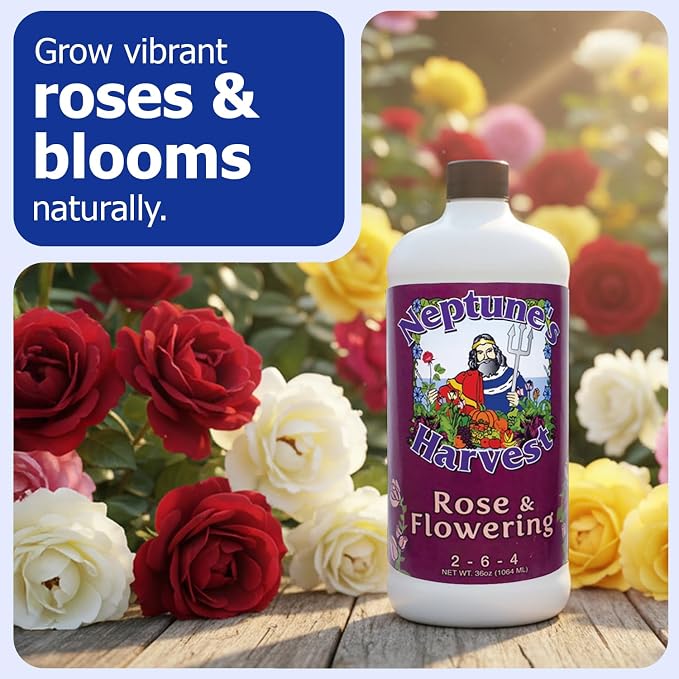 Neptune's Harvest Rose & Flowering Fertilizer (2-6-4) - 36oz Bottle - Organic Liquid Food for Vibrant Blooms & Growth - Promotes Healthy Foliage - Ideal Fertilizer for Indoor & Outdoor Use