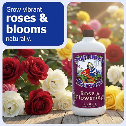Neptune's Harvest Rose & Flowering Fertilizer (2-6-4) - 36oz Bottle - Organic Liquid Food for Vibrant Blooms & Growth - Promotes Healthy Foliage - Ideal Fertilizer for Indoor & Outdoor Use
