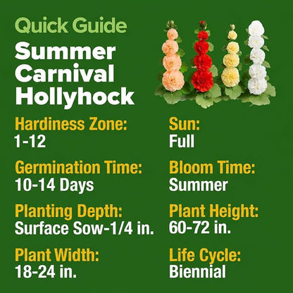 HOME GROWN Hollyhock Summer Carnival Mix Flower Seeds – Alcea Rosea, Premium Annual Flower Seeds, 1000 Seeds for Planting Flowers, High-Germination Flower Seed Bulk Pack