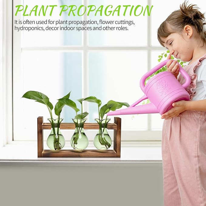 Plant Propagation Station Plant Terrarium Unique Birthday Gifts for Women | Plant Lovers Home Office Decor Planter with Wooden Stand - 3 Bulb Glass Vase