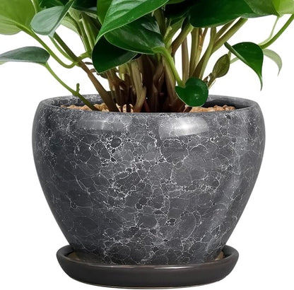 Ceramicfor Ceramic Planter - 6 Inch Plant Pot with Drainage Hole and Saucer, Succulent Pot Glaze Round Flower Pot for Indoor Outdoor Plants, Gray