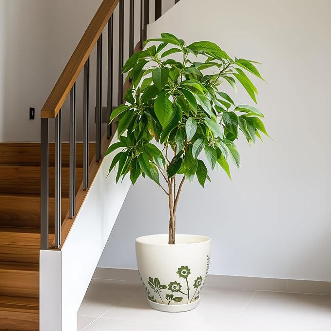 MPotTo Ceramic Plant Pot 10 Inch - Ceramic Planter for Indoor Outdoor Plants, Decorative Boho Round Planter with Drainage Hole and Saucer, Housewarming Gifts, Office Garden Home Decor, White