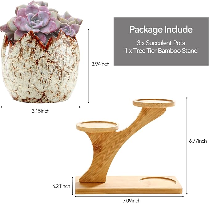 YYW Succulent Planter Pots Indoor Ceramic Decoration Cactus Small Flower Plant Pot with Tree Tier Bamboo Stand for Garden Kitchen Home Office Decor Plant Lovers Gifts 3Pcs