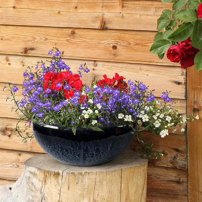 11 Inch Glazed Terracotta Plant Pot Round Ceramic Succulent Planter Pot with Drainage and Mesh Pad Cactus Clay Bonsai Pot (Blue)