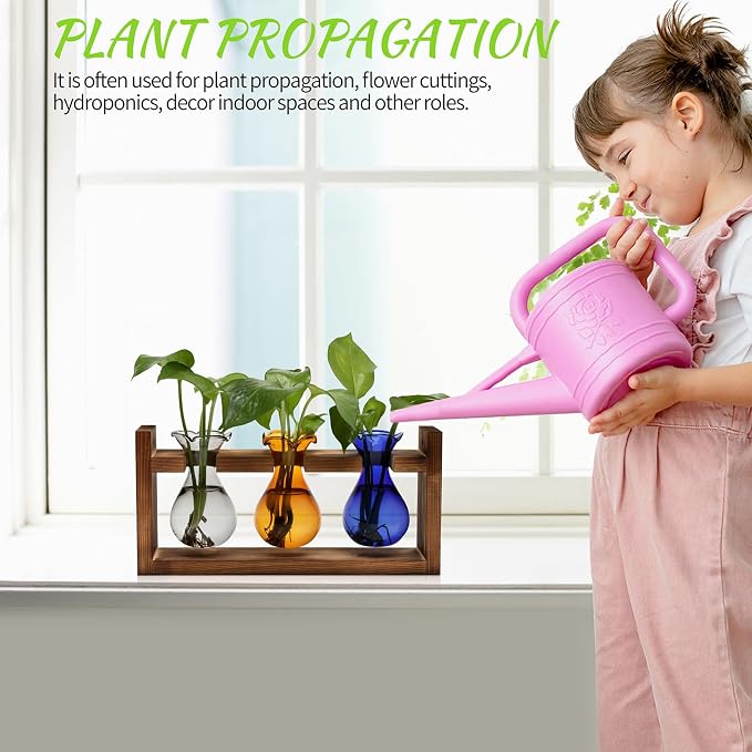 Plant Propagation Station Plant Terrarium Unique Birthday Gifts for Women | Plant Lovers Home Office Decor Planter with Wooden Stand - 3 Bulb Glass Vase
