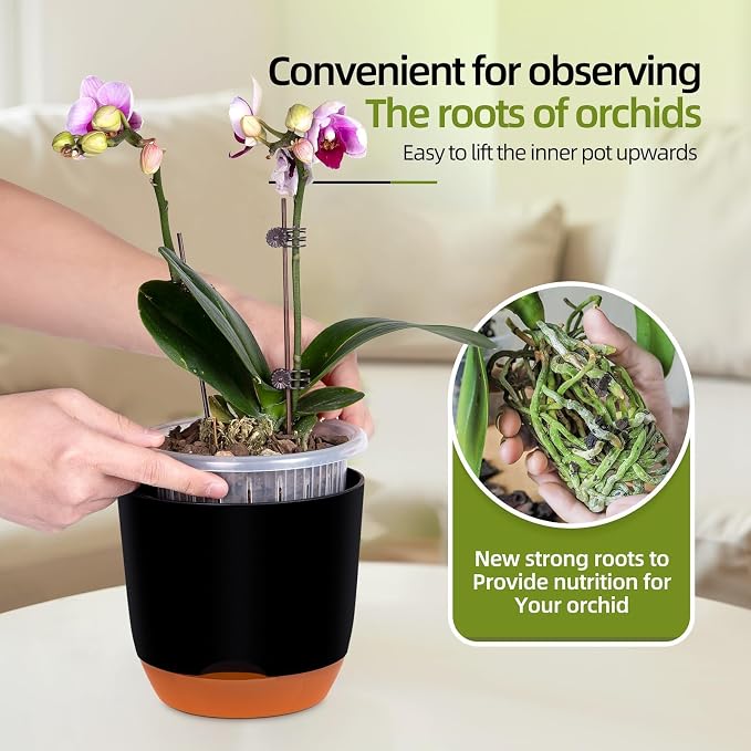QCQHDU 5.7Inch Orchid Pots with Holes for Repotting, Double-Layer Plastic Self Watering Flower Pots for Indoor Plants with Drainage Holes, Clear Orchid Pot Match Decorative Orchid Container, 3 Packs
