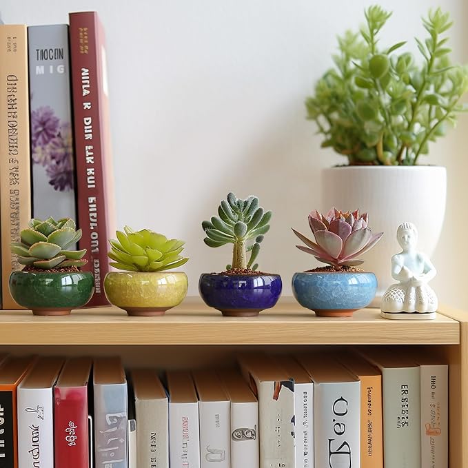 T4U 2.5 Inch Small Ceramic Succulent Planter Pot with Drainage Hole Set of 6, Ice Crack Glaze Plant Container for Cactus, Gardening Plant Gifts for Women Mom Aunt Home Office Decor