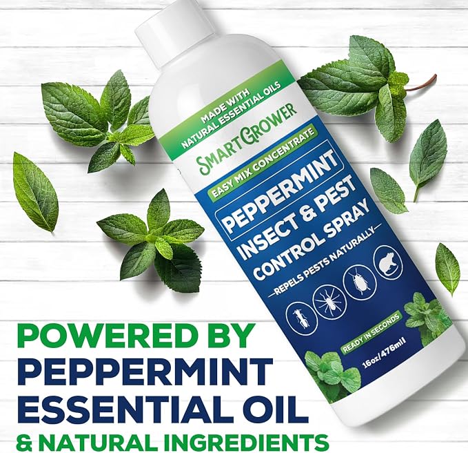 Peppermint Insect & Pest Control Best Value Concentrate - Repels Insects & Pests for Home, Indoor, Outdoor, Garden - Maximum Strength Concentrate (Makes Two Gallons RTU) 16 oz