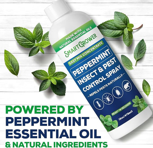 Peppermint Insect & Pest Control Best Value Concentrate - Repels Insects & Pests for Home, Indoor, Outdoor, Garden - Maximum Strength Concentrate (Makes Two Gallons RTU) 16 oz