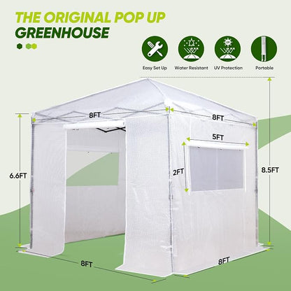 EAGLE PEAK 8x8 Portable Walk in Greenhouse, Pop Up Indoor Outdoor Greenhouse, Green House Kit with Zippered Roll-Up Doors and Windows, PE Cover, Clear/White