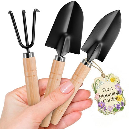 3 Pcs Mini Garden Tools, Shovel, Rake, Wooden Handles, Steel Heads | Small Gardening Tools Set, Tiny Trowel for Transplanting, Repotting and Planting, for Indoor Plants, Succulents and Bonsai