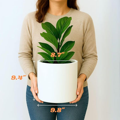 Fox & Fern Large Indoor Planter, Modern Large Plant Pot for Indoor or Outdoor, UV and Frost Resistant - 10 Inch, Matte White Flower Pot with Hide Saucer, Lightweight