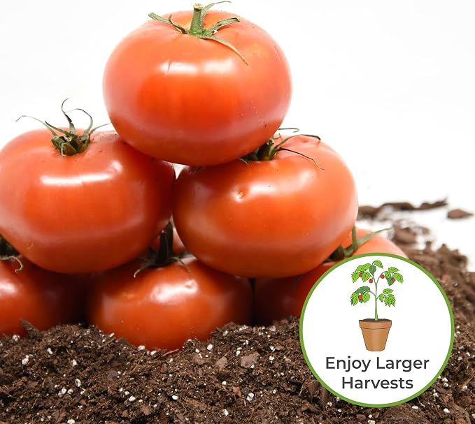Perfect Plants Tomato Plant Fertilizer in 8oz. Bottle | Help Your Vegetable Garden Thrive | Rich in Essential nutrients