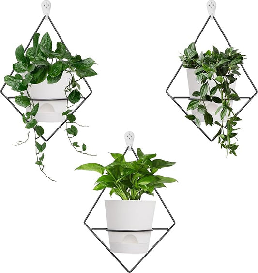 Koalaime 3 Sets Wall Planters for Indoor Plants Geometric Hanging Planters for Indoor Plants - Self-Watering Flower Pots with Black Metal Holder, Mounted Succulent Planter, 5" Black Plant Pot