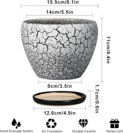 Ceramicfor Ceramic Planter Pot - 6 Inch Plant Pot with Drainage Hole and Saucer, Succulent Pot Glaze Round for Indoor Outdoor Plants, White and Black