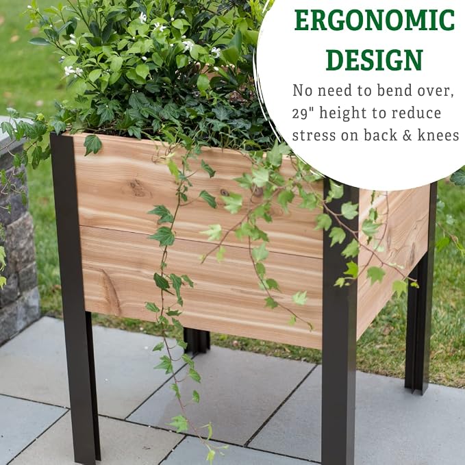 Gardener's Supply Company Raised Garden Bed Elevated Cedar Planter Box | 2' x 2' Heavy Duty Standing Garden Planters for Outdoor Plant Vegetables & Flower Gardening Perfect for Patio, Lawn & Backyard