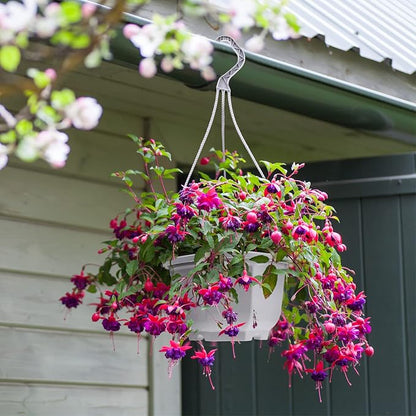 Roshtia 24 Pcs Hanging Plastic Planter Pot with Hook Flower Pots Baskets Hanging Nursery Planter Holder for Outdoor Indoor Plant Garden(Ceramic White,6.7 Inch)