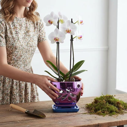 Orchid Pots with Holes Square Ceramic Orchid Planter Pots 5.5 inch (Purple)