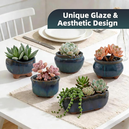 Ceramic Succulent Garden Pots Small Plant Planter Container with Drainage Set of 5 for Home Office Decor