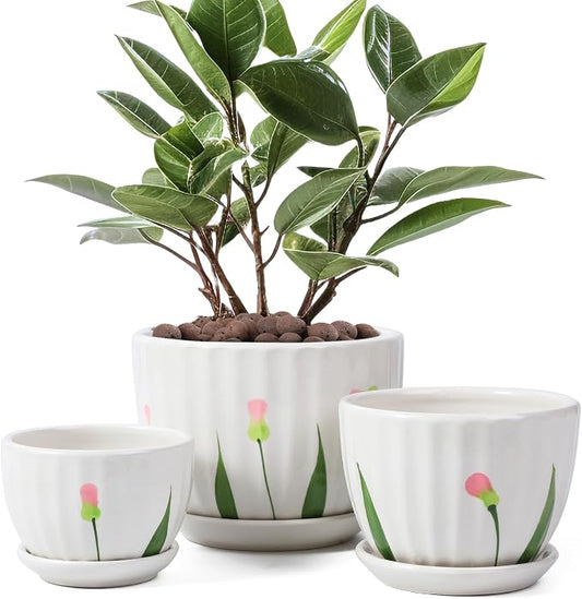 STHIE Ceramic Plant Pots with Drainage Holes and Saucers, Round White Flower Pots for Indoor Plant, Diameter 3.3/4.3/5.5 Inches Small Flower Planters Set of 3