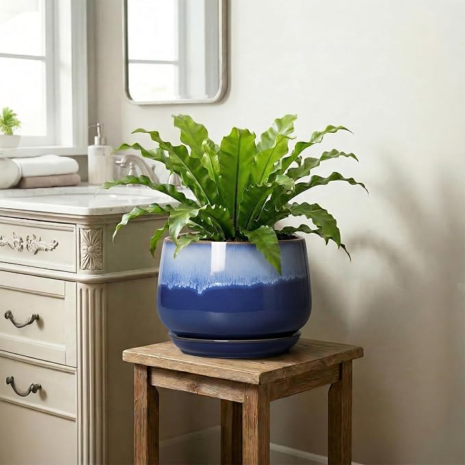 Ceramic Pots for Plants - 9 Inch Indoor Planter with Drainage Hole and Saucer, Decorative Plant Pots for Indoor Plants, Round Ceramic Flower Pot, Home Vanity Decor, Garden Gifts, Deep Blue