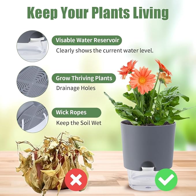 Oliz Self Watering Planters for Indoor Plants : 6 inch 3 Pack White African Violet Self Watering Flower and Herb pots