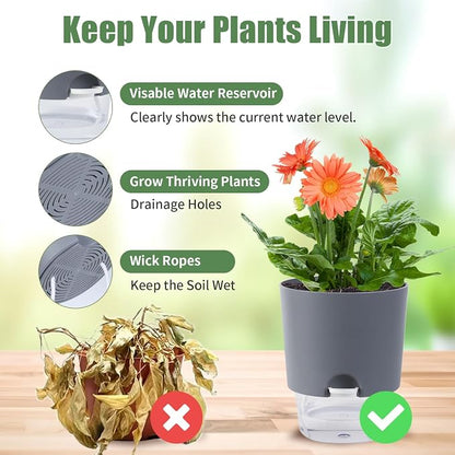 Oliz Self Watering Planters for Indoor Plants : 6 inch 3 Pack White African Violet Self Watering Flower and Herb pots
