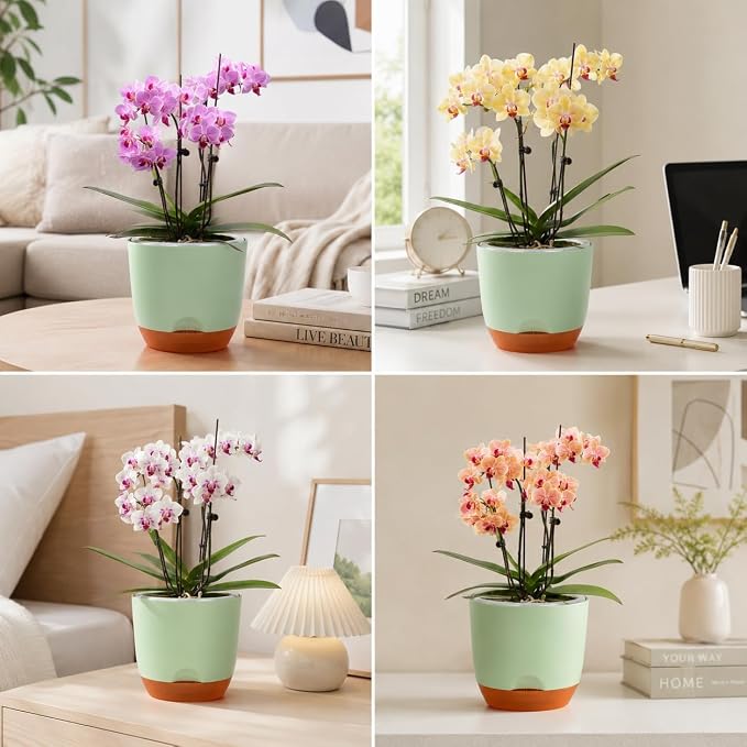QCQHDU 2 Pack 5.7 Inch Orchid Pots with Holes for Repotting, Double-Layer and Self Watering Orchid Pot with Good Air Circulation
