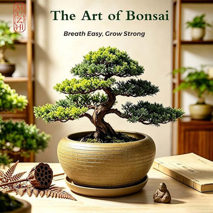MUZHI 9.5” Round Large Ceramic Bonsai Bowl Planter，Clay Succulent Plant Pot Container with Saucer (9.5”)