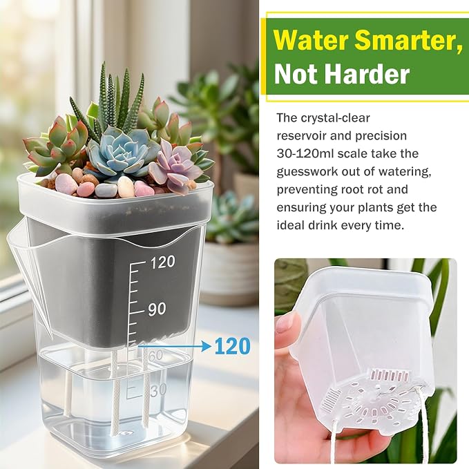 30 Pack 2" Small Self Watering Pots for Indoor Plants with 30 Plant Label Mini Clear Plastic Planters with Water Level and Drainage Holes for Propagation, Succulents,and African Violet