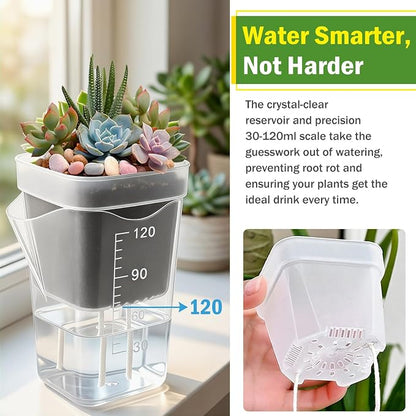 30 Pack 2" Small Self Watering Pots for Indoor Plants with 30 Plant Label Mini Clear Plastic Planters with Water Level and Drainage Holes for Propagation, Succulents,and African Violet