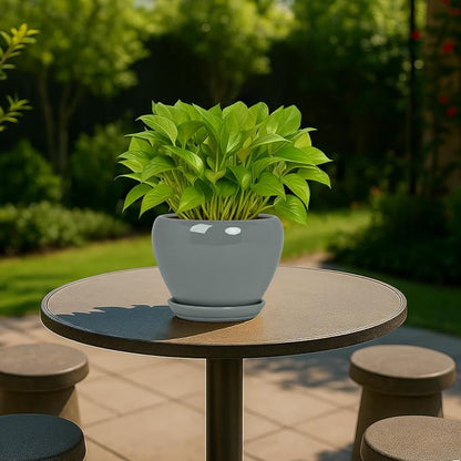 Deep Dream 6 Inch Plant Pots- Ceramic Planter Pot with Drainage Hole and Saucer, Round Flower Pot for Indoor Outdoor Succulent, Snake Plants and Cactus, Grey
