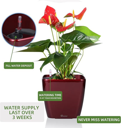 Dexceder 9x8 Self Watering Planter (Red High Gloss) | Inner Mat Design, Thickened Table Flower Plant Pot with Water Level Indicator Indoor Outdoor