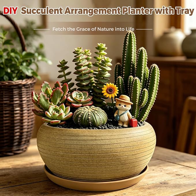 MUZHI 9.5” Round Large Ceramic Bonsai Bowl Planter，Clay Succulent Plant Pot Container with Saucer (9.5”)
