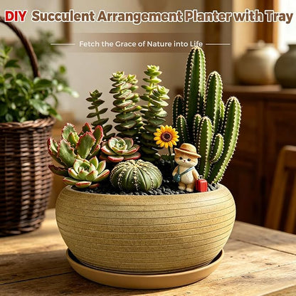 MUZHI 9.5” Round Large Ceramic Bonsai Bowl Planter，Clay Succulent Plant Pot Container with Saucer (9.5”)