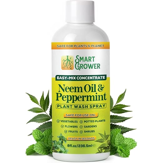 Neem Oil Spray for Plants with Peppermint Oil – for Indoor & Outdoor Plants, Gardens, & Houseplants– Best Value Refill 8 oz Concentrate Makes 1 Gallon RTU