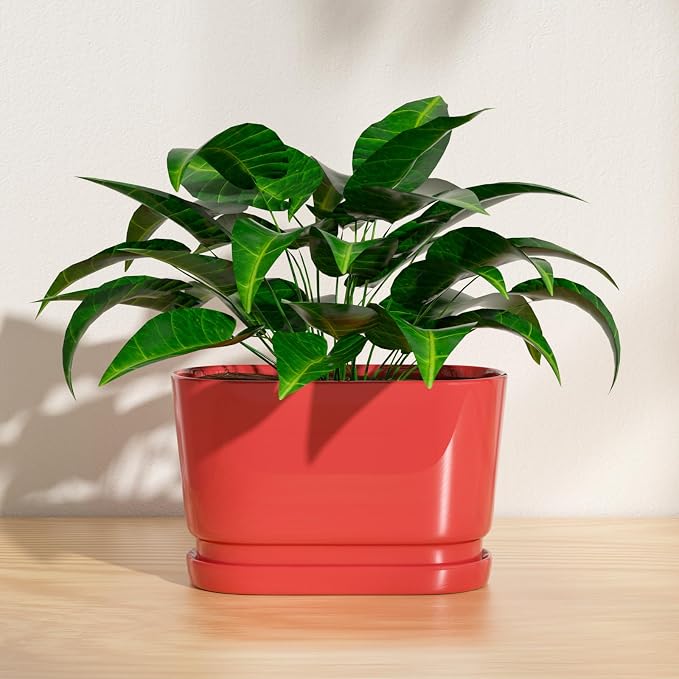8.9" Rectangular Ceramic Planter with Drainage and Saucer, Red | Indoor Outdoor Use, 8.9"L x 4.5"W x 5.3"H, Modern Home Decor, Window Box Planter, Red Glossy Finish