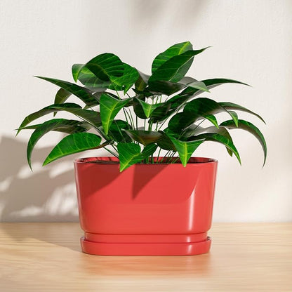 8.9" Rectangular Ceramic Planter with Drainage and Saucer, Red | Indoor Outdoor Use, 8.9"L x 4.5"W x 5.3"H, Modern Home Decor, Window Box Planter, Red Glossy Finish